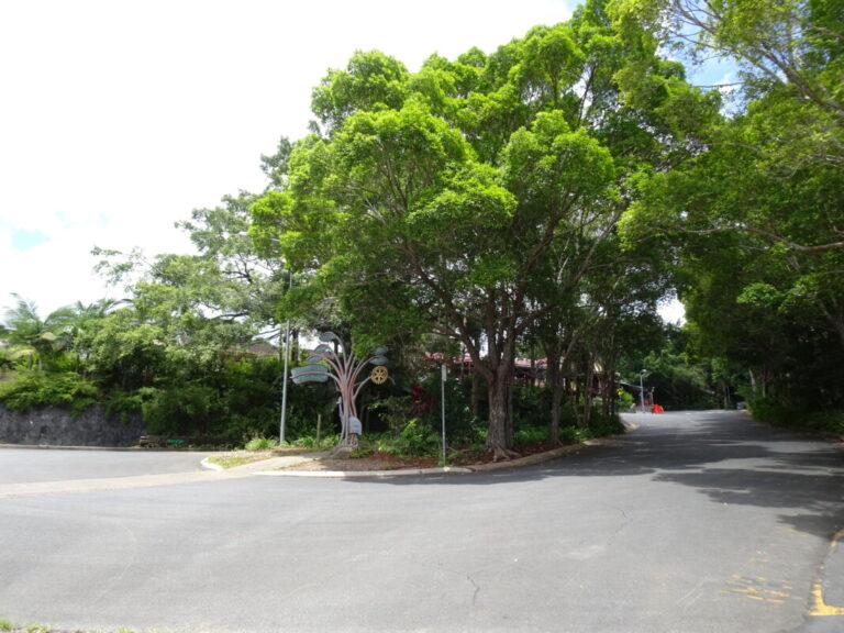 キュランダ散策 キュランダコアラガーデンズ 編 気ままな飛行機人のプログ