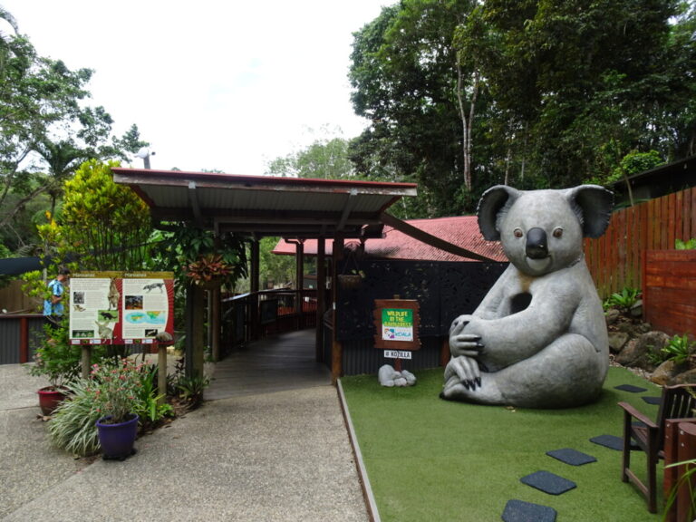 キュランダ散策 キュランダコアラガーデンズ 編 気ままな飛行機人のプログ