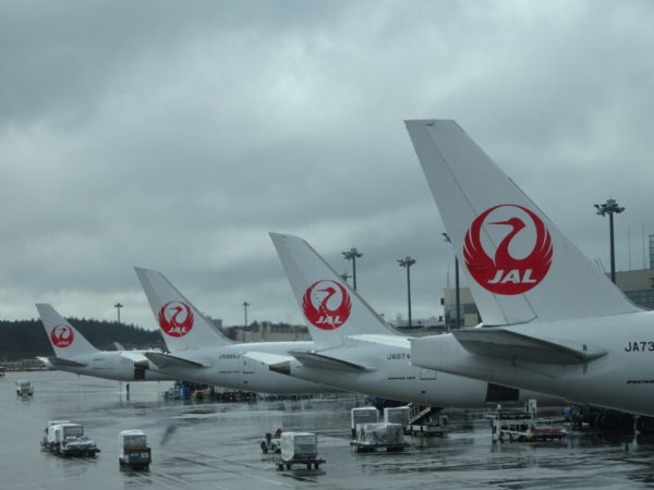 Jal シドニー線 週1便にて 再開へ 気ままな飛行機人のプログ